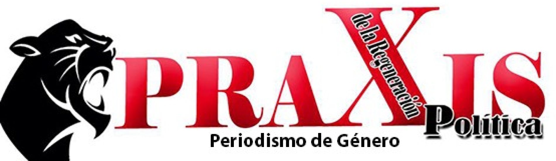 Praxis Politica