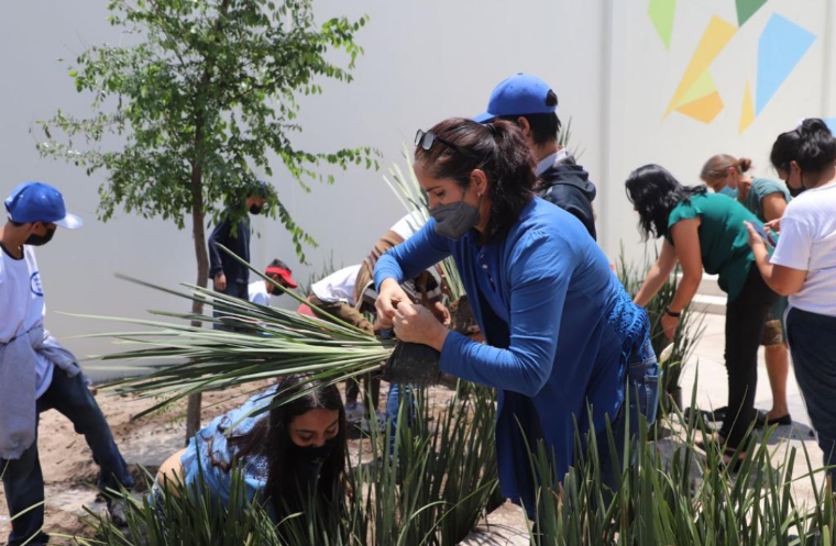 Proteger la tierra ante el inminente daño del calentamiento global