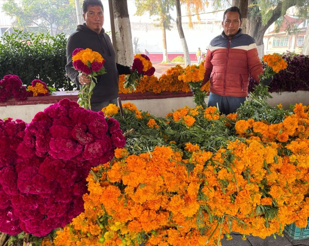 GENERA UNA DERRAMA ECONÓMICA DE UN MILLÓN DE PESOS EN TECÁMAC LA SIEMBRA DE LA FLOR DE CEMPASÚCHIL