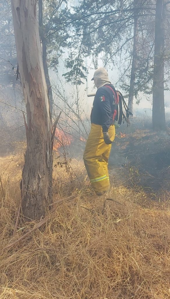 DEBE INVESTIGARSE INCENDIO EN PARQUE LA HOJA