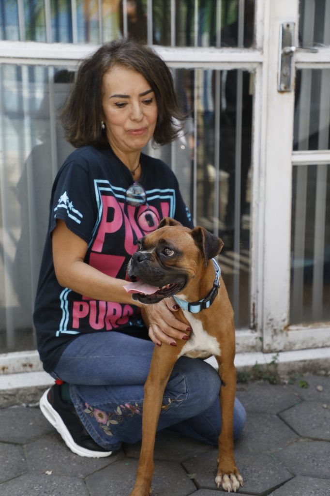ADOPTAN A PERRITA RESCATADA PORBIENESTAR ANIMAL DE NAUCALPAN