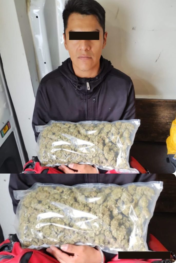 PERRO POLICÍA DETECTA BOLSA LLENADE MARIHUANA EN UNIDAD DE TRANSPORTE