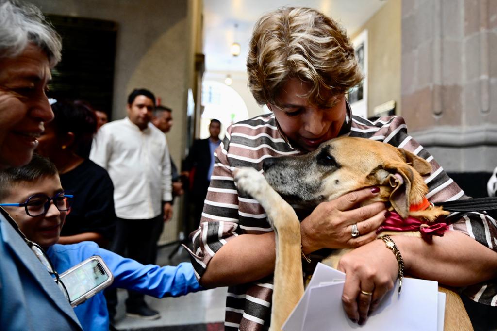 PROGRAMA DE RESCATE ANIMAL EN SIRUACION DE CALLE EN EDOMEX: GOMEZ ALVARES