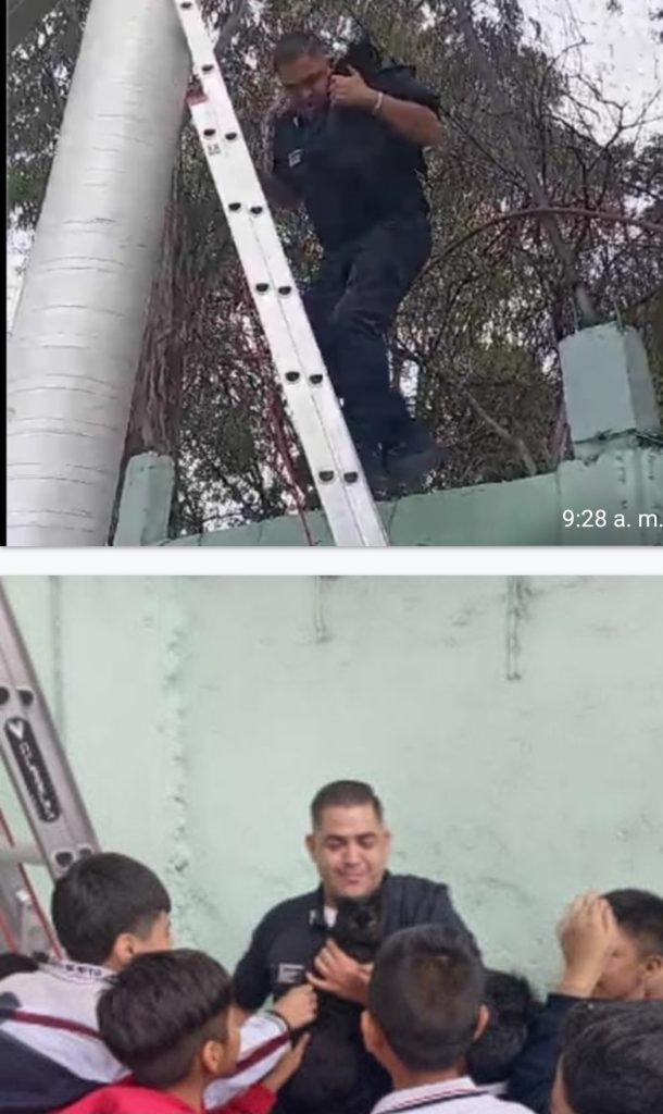 POLICÍAS DE NAUCALPAN RESCATAN AGATO ATRAPADO EN ALAMBRE DE PÚAS