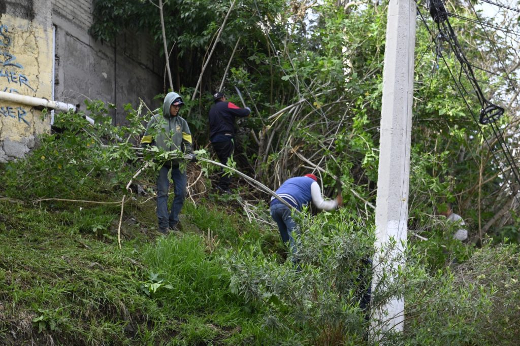 OFRECE NAUCALPAN MAYOR SEGURIDAD CON LIMPIEZA Y PODA DE ÁREAS VERDES