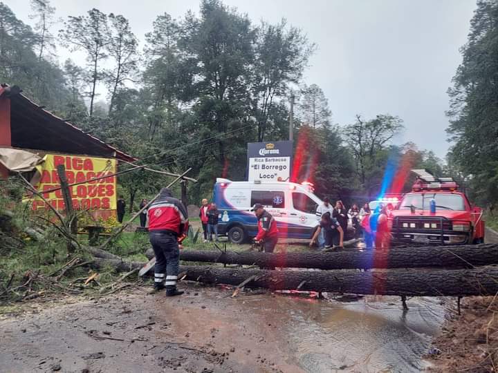 Deslave de Árboles se Registra Sobre la Carretera Villa del Carbón _ Nicolas Romero