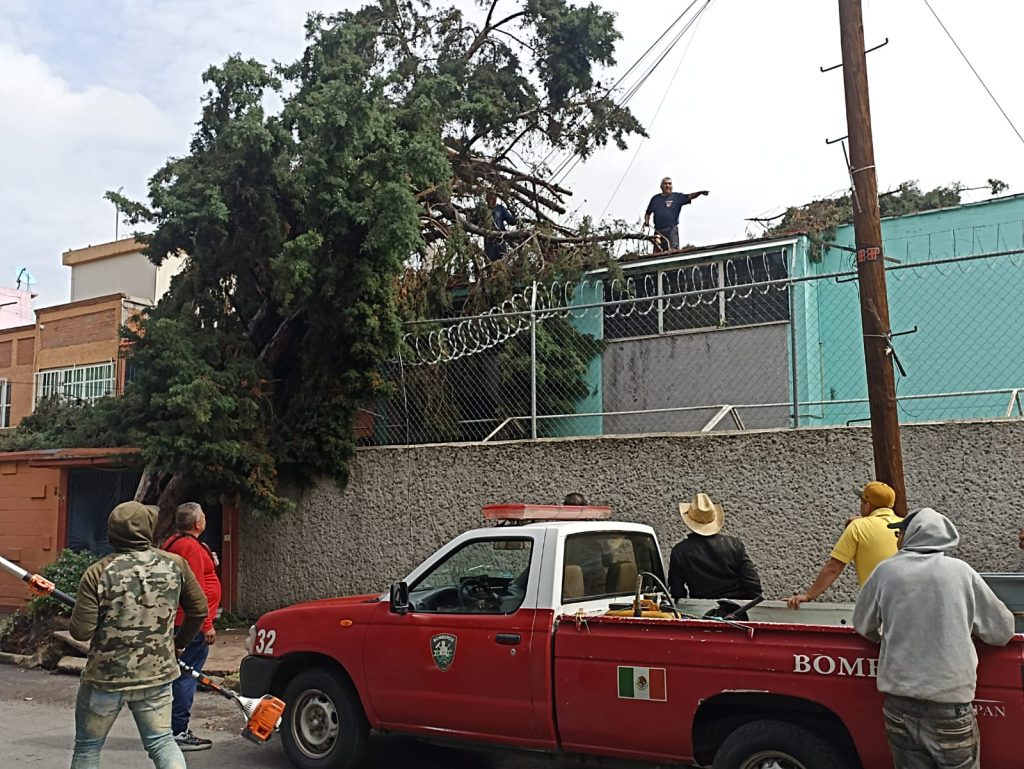 TRABAJADORES DE NAUCALPAN LIMPIAN VIALIDADES Y RETIRAN ÁRBOLES CAÍDOS TRAS TORMENTA DE AYER
