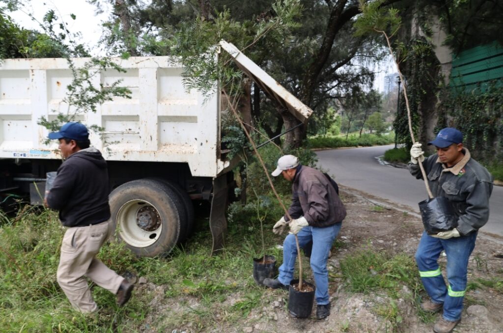 REFORESTA HUIXQUILUCAN INMEDIACIONES DE LA PRESA “EL CAPULÍN”