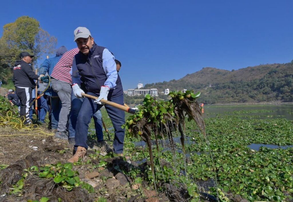 LLEVAN A CABO PEDRO RODRÍGUEZ Y FUNCIONARIOS JORNADA DE LIMPIEZA EN LA PRESA MADÍN PARA RETIRAR LIRIO ACUÁTICO Y MANTENERLA LIMPIA